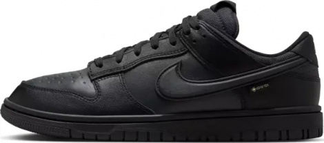 Кросівки Nike DUNK LOW GORE-TEX чорні HQ2053-001