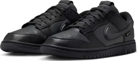 Кросівки Nike DUNK LOW GORE-TEX чорні HQ2053-001