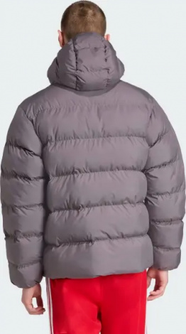 Куртка Adidas TONAL HOODED серая JX4122