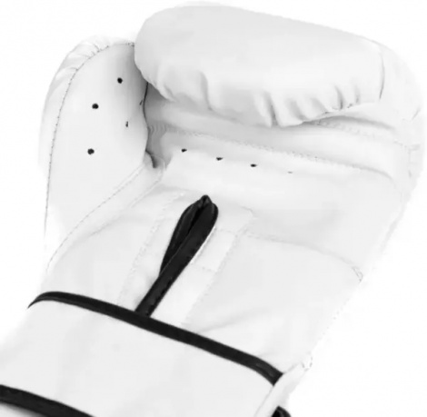 Перчатки боксерские Everlast CORE 2 TRAINING GLOVES белые S/M P00002325