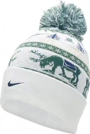 Шапка подростковая Nike PEAK STANDARD CUFF BEANIE молочно-зелено-синяя HV7025-133