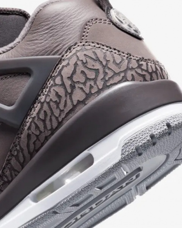 Кросівки Nike JORDAN SPIZIKE LOW бронзово-темно-сірі FQ1759-201