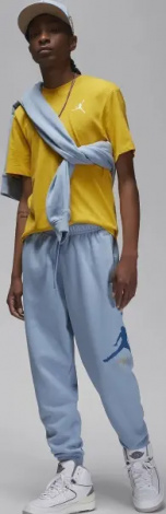 Спортивный костюм Nike JORDAN ESSENTIALS FLEECE голубой FD7545-436__FD7345-436