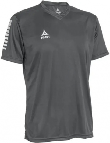 Футболка Select PISA PLAYER SHIRT S/S сіра 624130-990