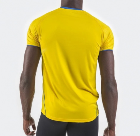 Футболка Joma OLIMPIA 100736.907 желто-синяя