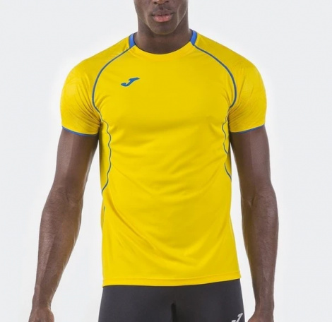 Футболка Joma OLIMPIA 100736.907 желто-синяя