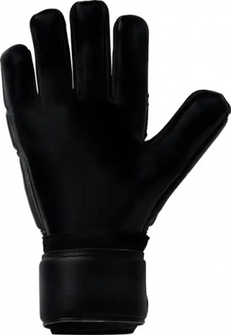 Вратарские перчатки Uhlsport COMFORT ABSOLUTGRIP HN черные 1011349 01