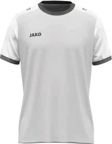 Футболка джерси Jako DYNAMIC S/S серо-белая 4270-837
