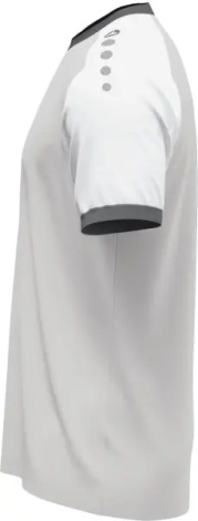Футболка джерси Jako DYNAMIC S/S серо-белая 4270-837