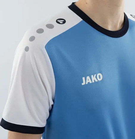 Футболка джерси Jako DYNAMIC S/S голубо-бело-темно-синяя 4270-431