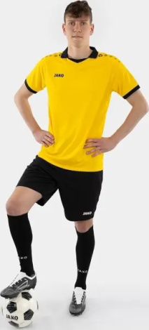 Футболка джерси Jako GLORY S/S желто-черная 4251-337