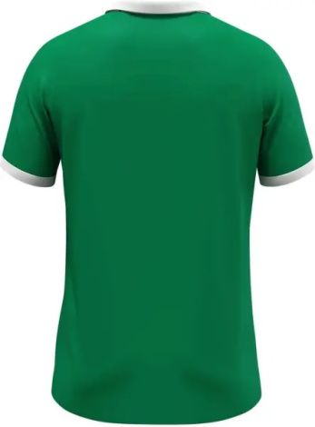 Футболка джерси Jako GLORY S/S зелено-белая 4251-206