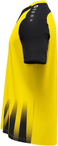 Футболка джерси Jako VINTAGE S/S желто-черная 4245-337