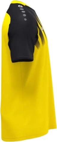 Футболка джерси Jako VINTAGE S/S желто-черная 4245-337