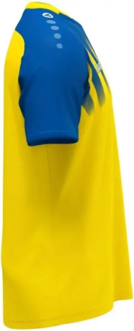 Футболка джерси Jako VINTAGE S/S желто-синяя 4245-336