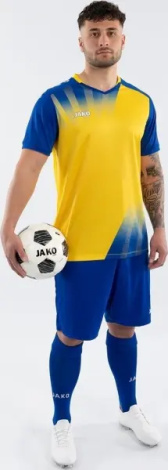 Футболка джерси Jako VINTAGE S/S желто-синяя 4245-336