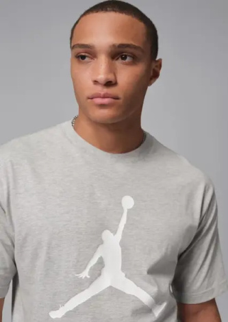 Футболка Nike JORDAN сіро-біла IF5568-050