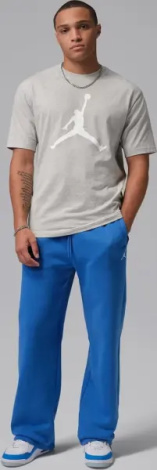 Футболка Nike JORDAN сіро-біла IF5568-050