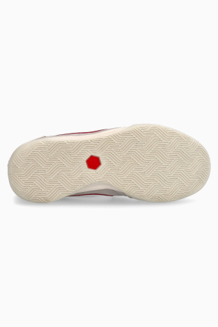 Футзалки Nike Tiempo Streetgato PRM IC Junior - Сірий
