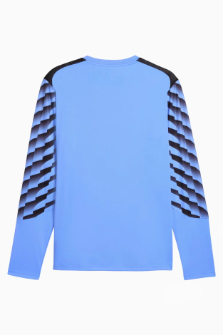 Вратарская кофта Puma teamLIGA 26 GK - голубой