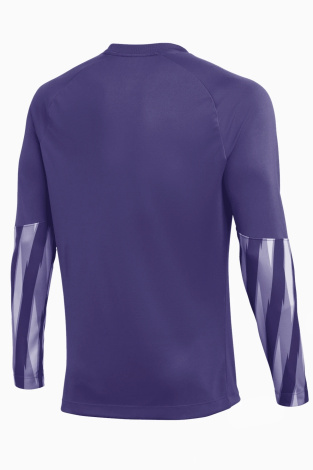 Вратарская кофта Nike Dri-FIT Park V GK Детская - Фиолетовый