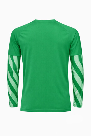 Вратарская кофта Nike Dri-FIT Park V GK Детская - зеленый