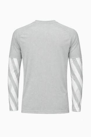 Вратарская кофта Nike Dri-FIT Park V GK Детская - серый