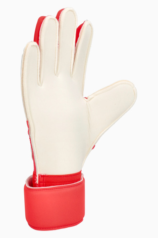 Вратарские перчатки adidas Predator Match