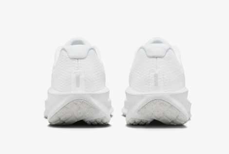 Кросівки Nike Downshifter 13 FD6454-100