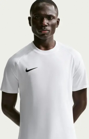 Футболка Nike DRI-FIT PARK VIII белая HV8173-100