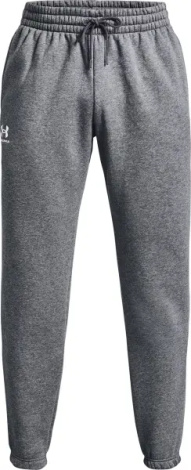 Спортивні штани Under Armour ICON FLEECE сірі 1373882-012