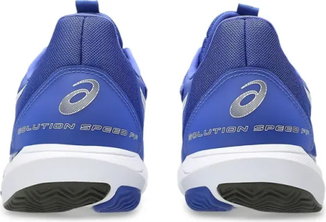 Кроссовки теннисные Asics SOLUTION SPEED FF 3 CLAY сине-белые 1041A437-401