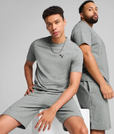 Футболка Puma ESSENTIALS SMALL LOGO серая 68253803