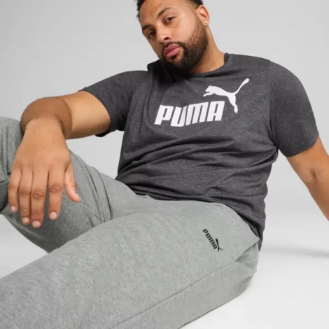 Спортивные штаны Puma ESSENTIALS NO. 1 LOGO серые 68260803