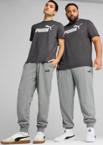 Спортивные штаны Puma ESSENTIALS NO. 1 LOGO серые 68260803