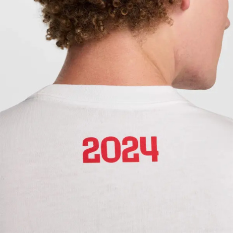 Футболка Nike PARIS SAINT-GERMAIN AWAY бело-темно-сине-красная HF0826-100