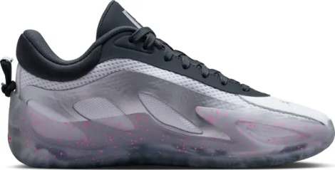 Кроссовки баскетбольные женские Nike JORDAN HEIR SERIES 2 светло-серо-черно-розовые HV4417-100