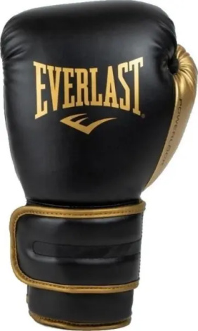 Перчатки боксерские Everlast POWERLOCK 2R TRAINING GLOVES черно-золотые (14 унций) P00002664