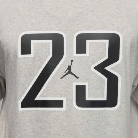 Футболка Nike JORDAN BROOKLYN серая HQ9028-050