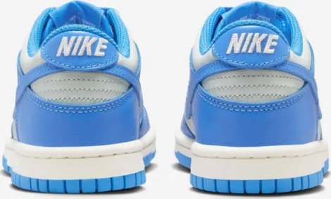 Кросівки підліткові Nike DUNK LOW (GS) блакитно-світло-сірі FB9109-004