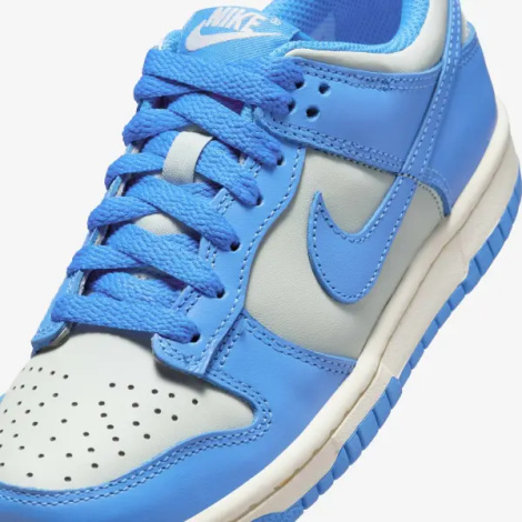 Кросівки підліткові Nike DUNK LOW (GS) блакитно-світло-сірі FB9109-004