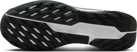 Кросівки для трейлраннінгу Nike REACTX PEGASUS TRAIL 5 чорні DV3864-001