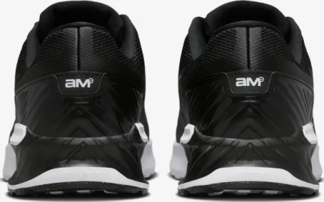 Кросівки Nike AIR MAX BIA чорно-білі IF2624-005