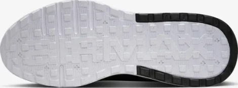 Кросівки Nike AIR MAX BIA чорно-білі IF2624-005