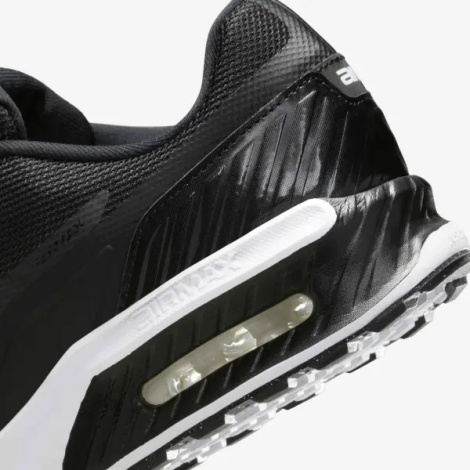 Кросівки Nike AIR MAX BIA чорно-білі IF2624-005