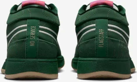 Кросівки баскетбольні Nike BOOK 1 темно-зелені FJ4249-300