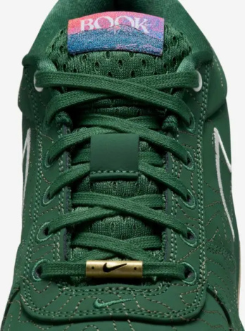 Кросівки баскетбольні Nike BOOK 1 темно-зелені FJ4249-300