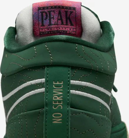 Кросівки баскетбольні Nike BOOK 1 темно-зелені FJ4249-300