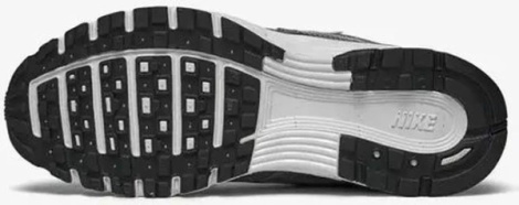 Кросівки жіночі Nike WMNS P-6000 сріблясті FD9876-101