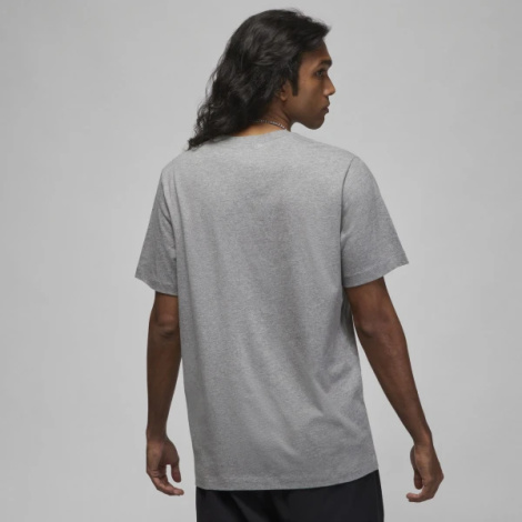 Футболка Nike MJ JD AIR STRETCH SS CREW сіра DV1445-091